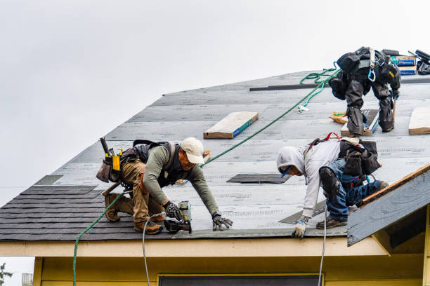 Professional Gutter Installation technician working in Delaplane, VA